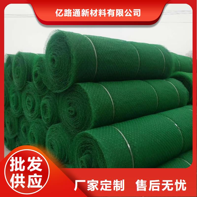 三维植被网复合土工膜随到随提