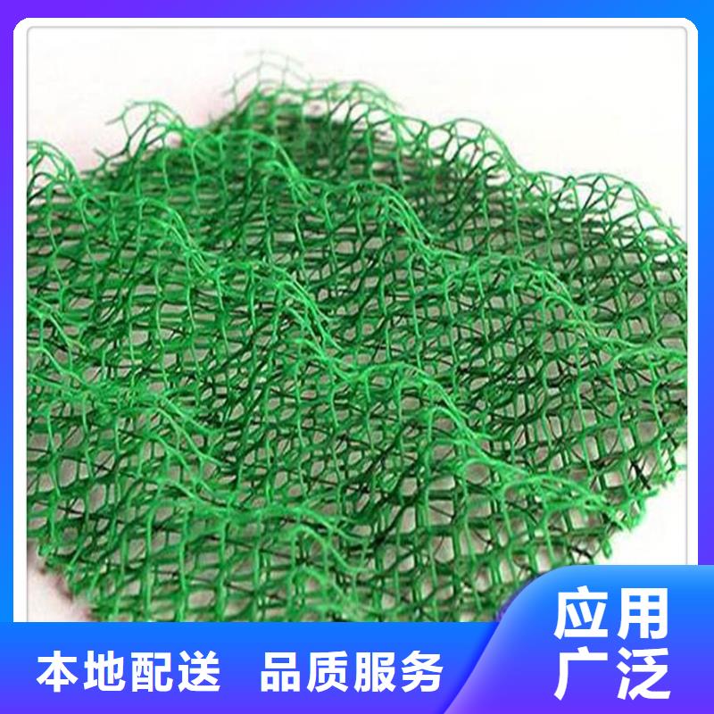 三维植被网土工HDPE膜厂家货源稳定