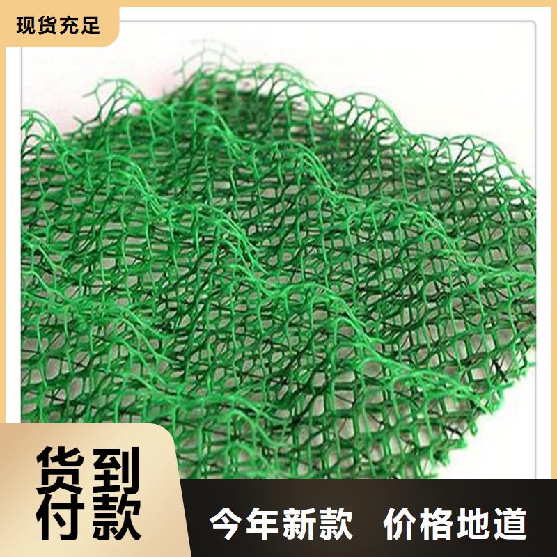 三維植被網(wǎng)加筋布生產(chǎn)廠家