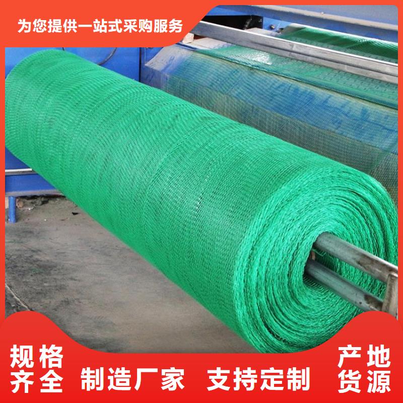 三维植被网土工布有实力有经验