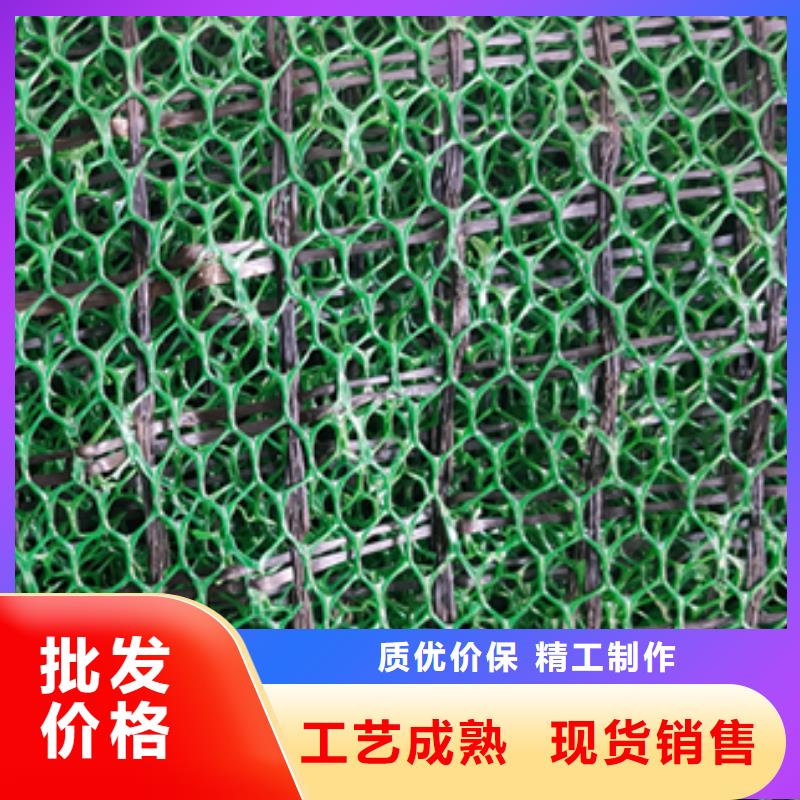三維植被網(wǎng)土工布有實(shí)力有經(jīng)驗(yàn)