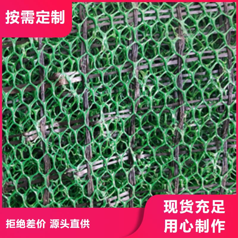 三维植被网复合土工膜随到随提