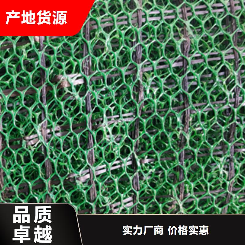 邊坡防護(hù)三維植被網(wǎng)廠家直供