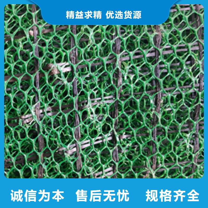 三维植被网双向土工格栅工厂直销