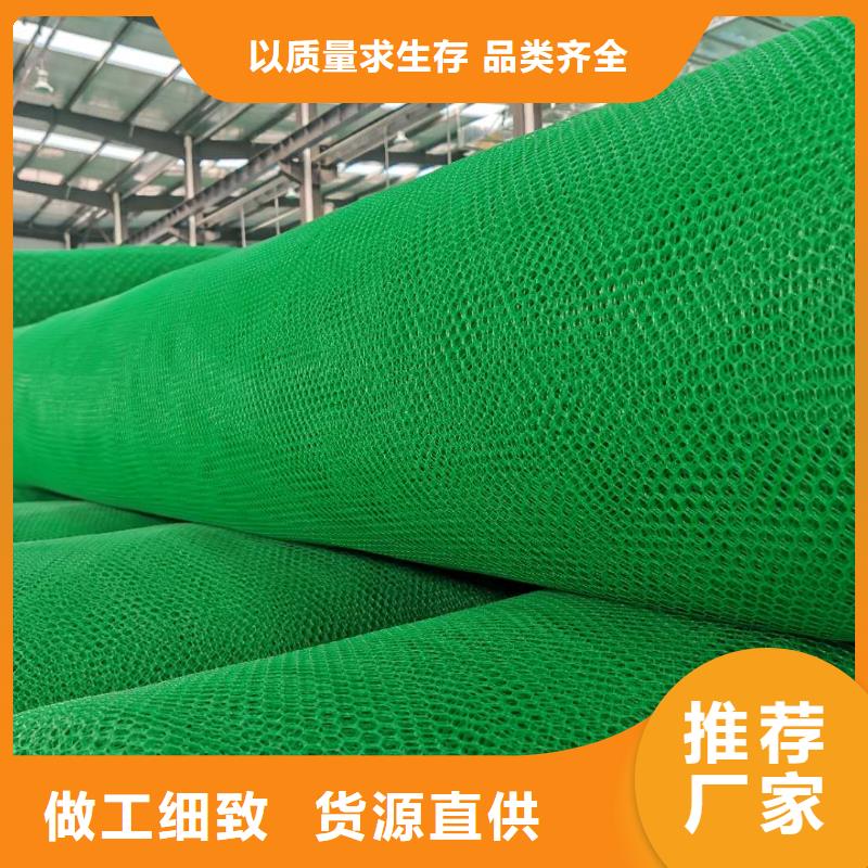 三维植被网土工布有实力有经验