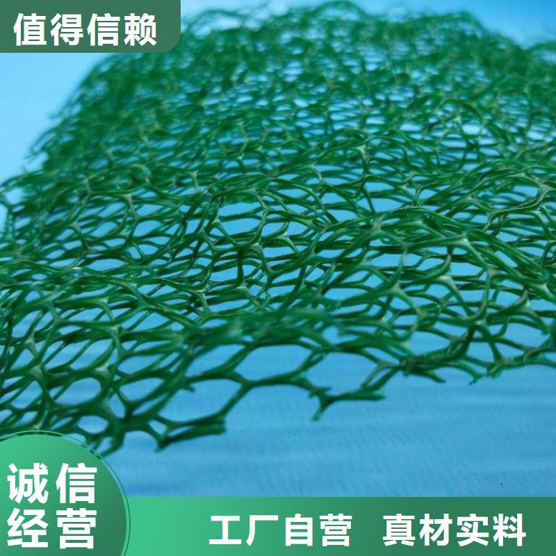 三维植被网复合土工膜随到随提