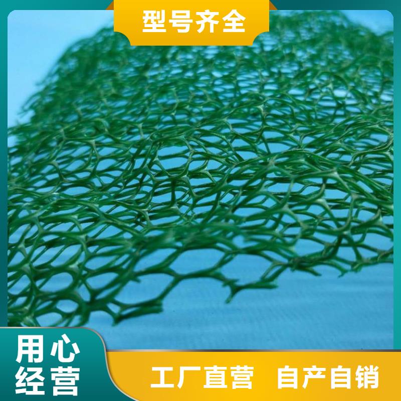 三維植被網(wǎng)保溫土工布源頭實體廠商