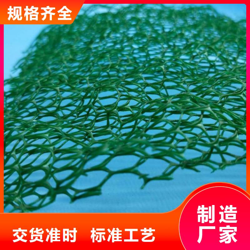 三維植被網(wǎng)加筋布生產(chǎn)廠家