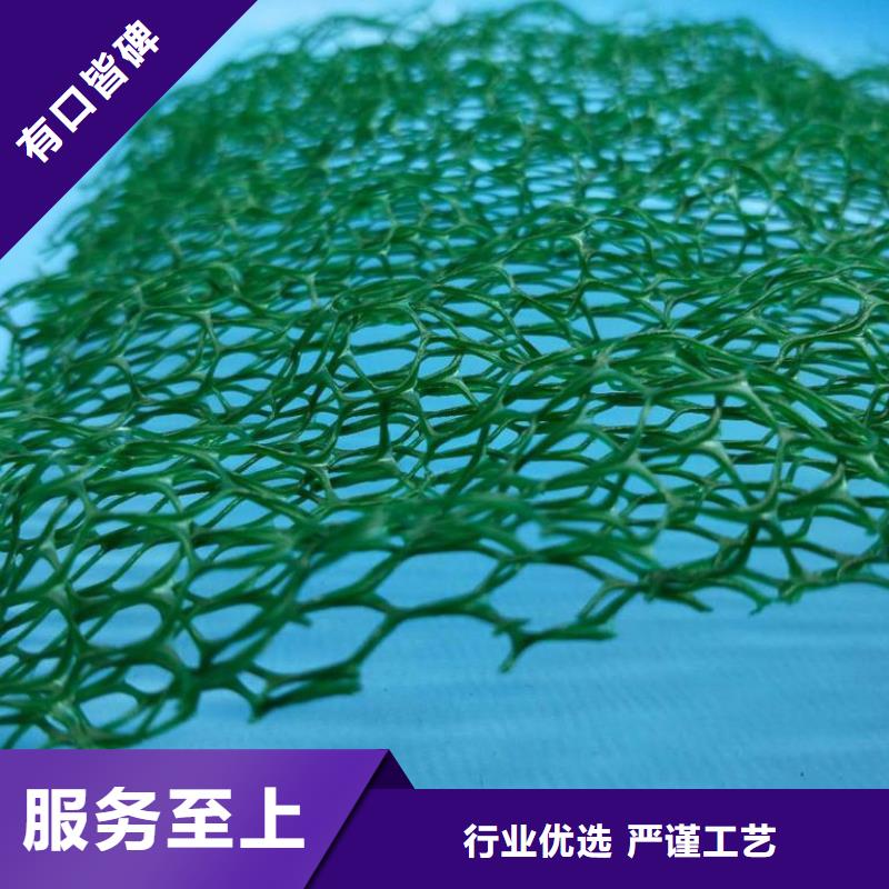 三維植被網(wǎng)土工布有實(shí)力有經(jīng)驗(yàn)