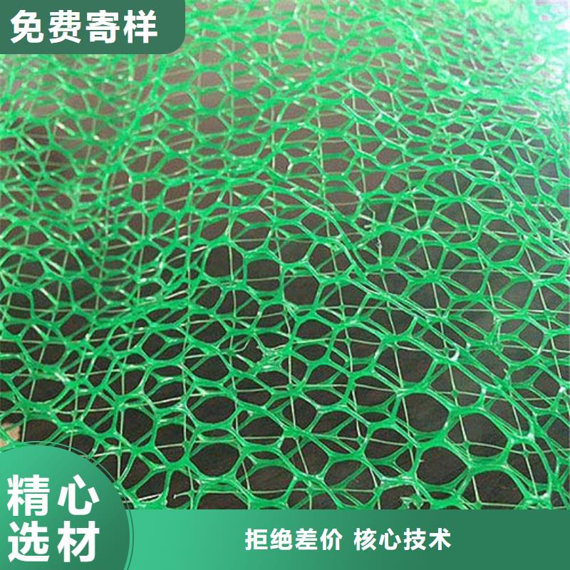 三维植被网-膨润土防水毯精工细致打造