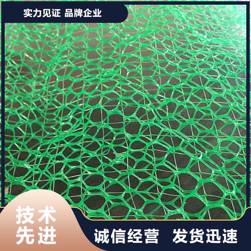 三维植被网复合土工膜随到随提