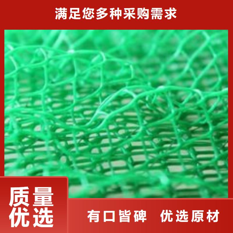 三维植被网土工布有实力有经验