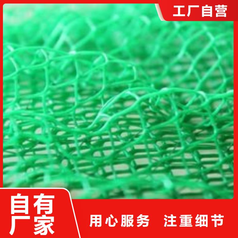 三维植被网复合土工膜随到随提