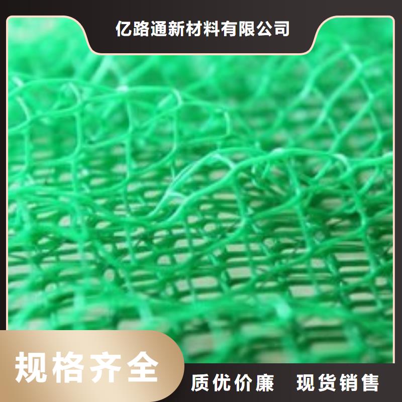 三維植被網(wǎng)土工HDPE膜廠家貨源穩(wěn)定