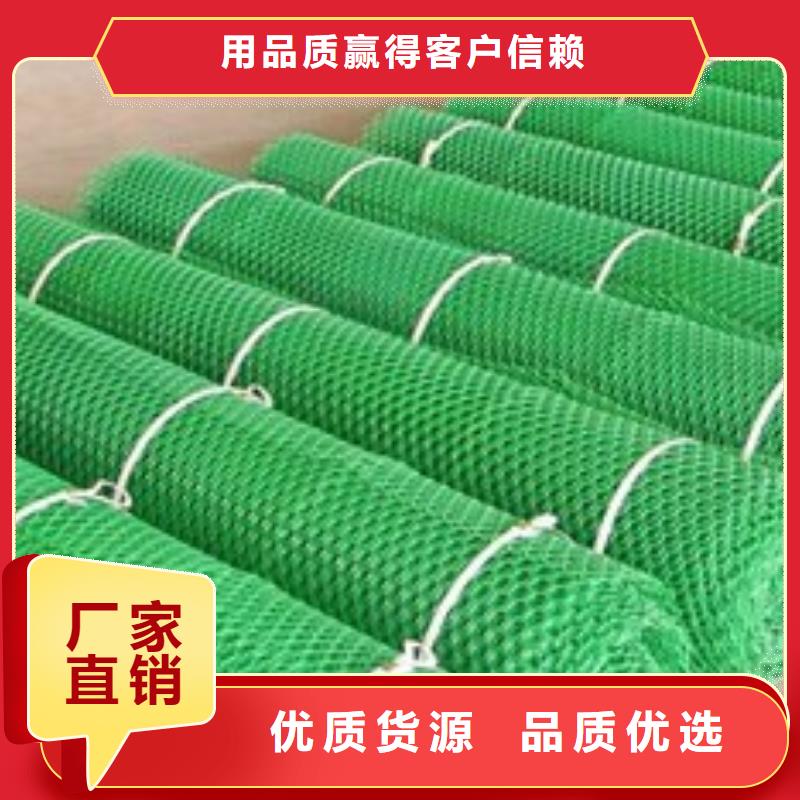 三維植被網(wǎng)塑料土工濾網(wǎng)做工精細