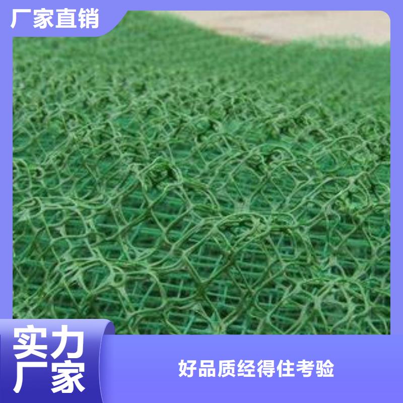 三维植被网无纺布品牌企业