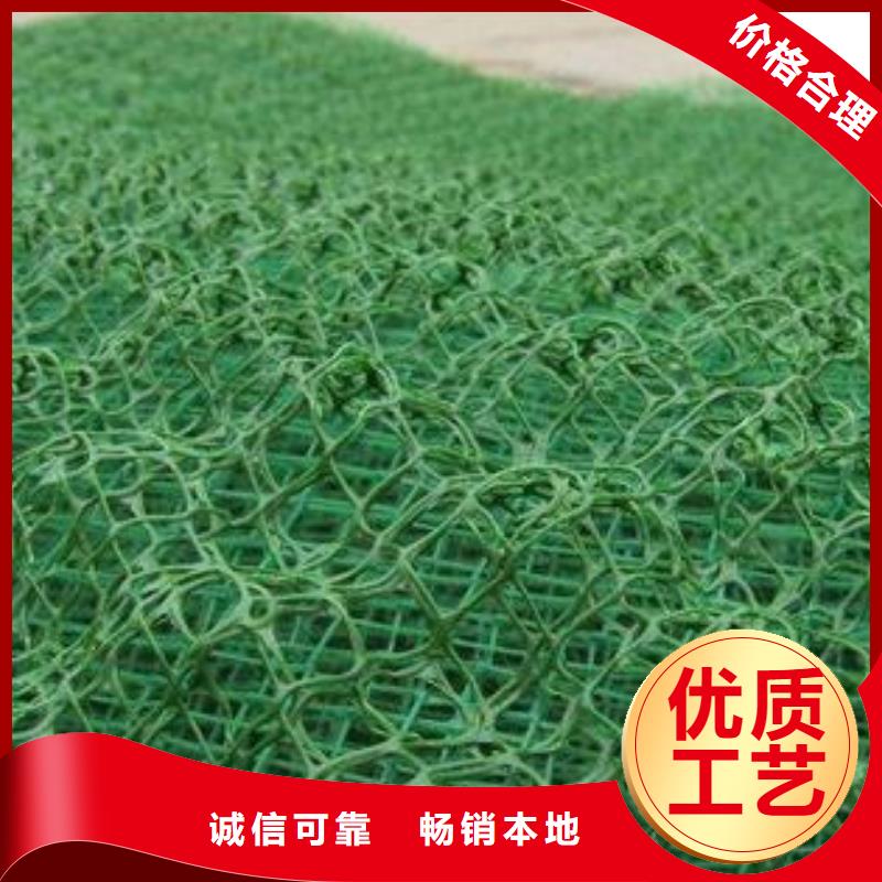 三維植被網(wǎng)土工HDPE膜廠家貨源穩(wěn)定