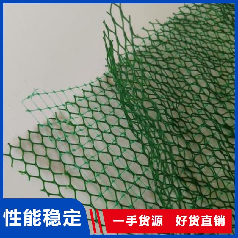 三維植被網(wǎng)土工HDPE膜廠家貨源穩(wěn)定