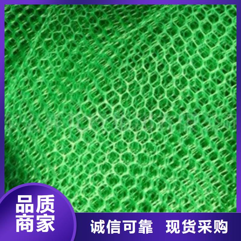 三维植被网土工布有实力有经验