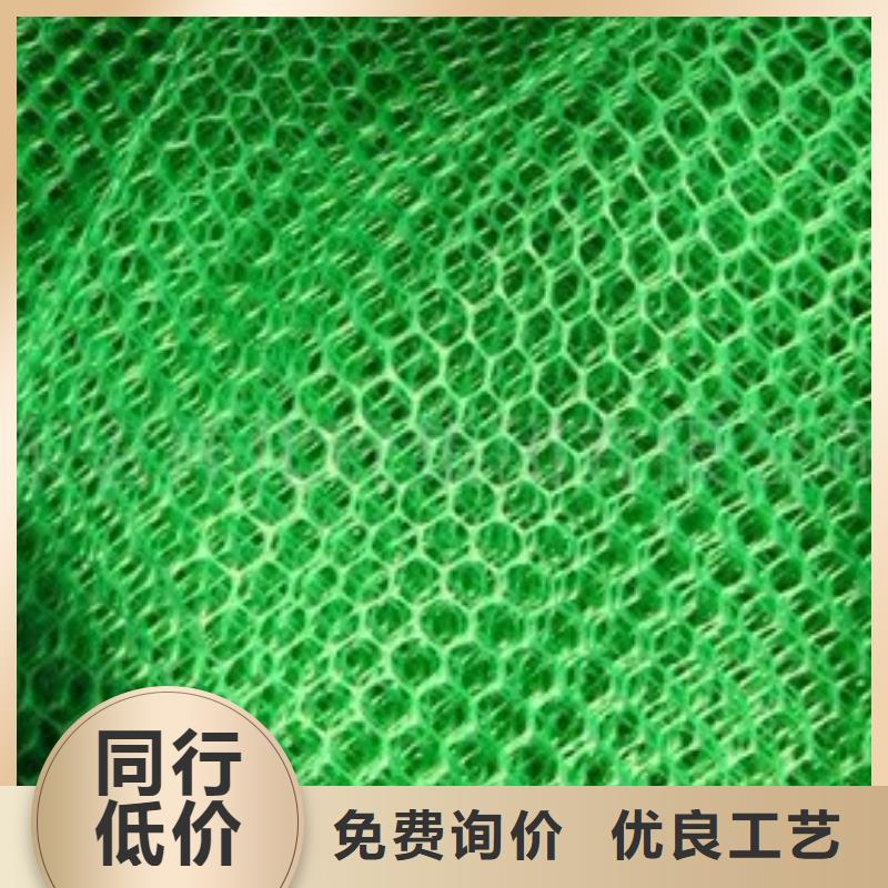 三維植被網(wǎng)保溫土工布源頭實體廠商