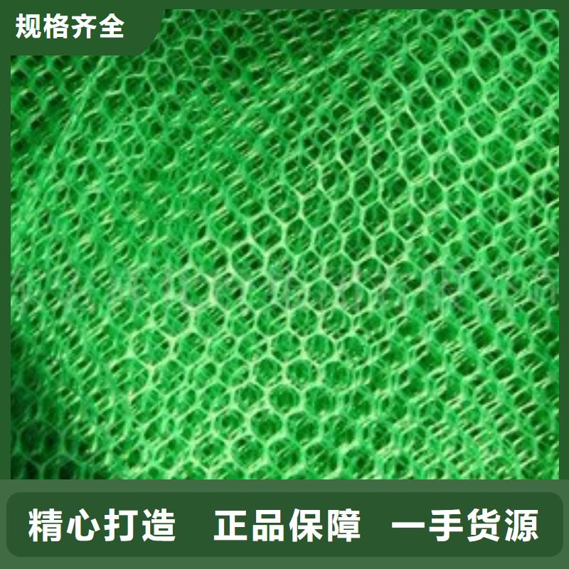 三维植被网无纺布品牌企业