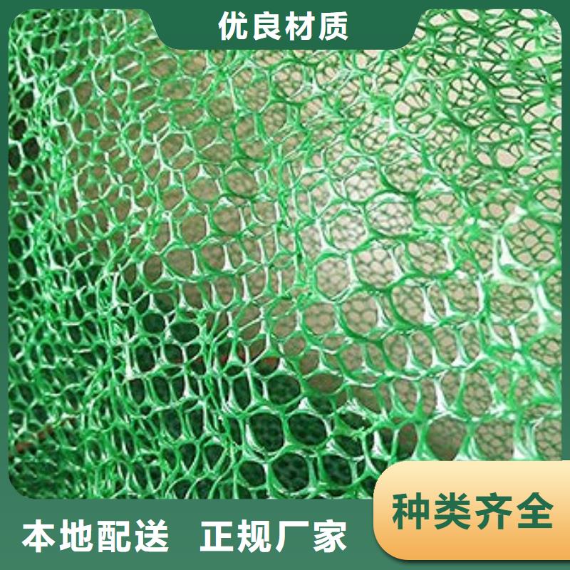 三維植被網(wǎng)保溫土工布源頭實體廠商