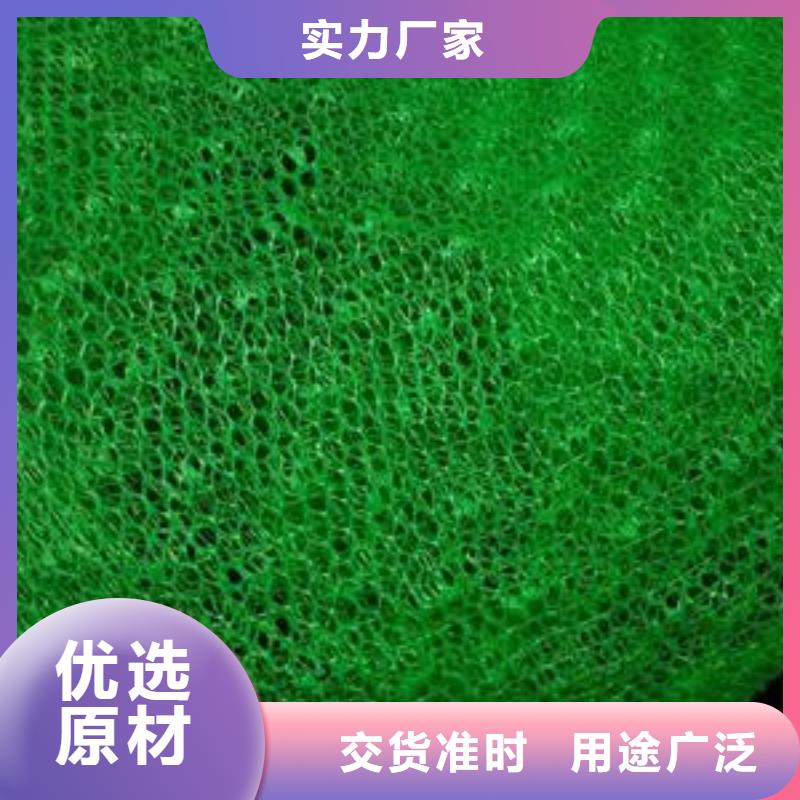 三維植被網(wǎng)保溫土工布源頭實體廠商