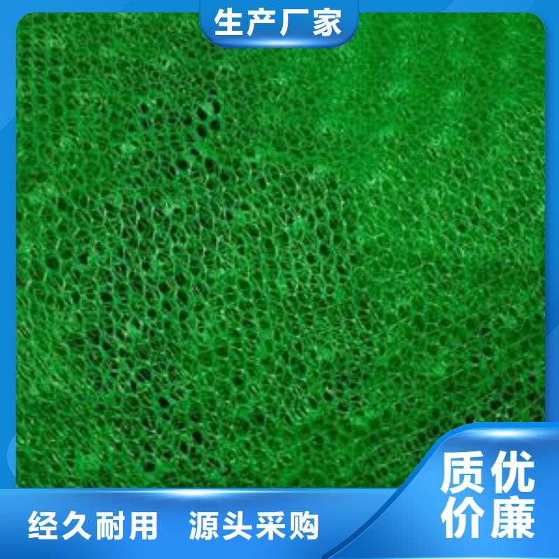 三维植被网无纺布品牌企业