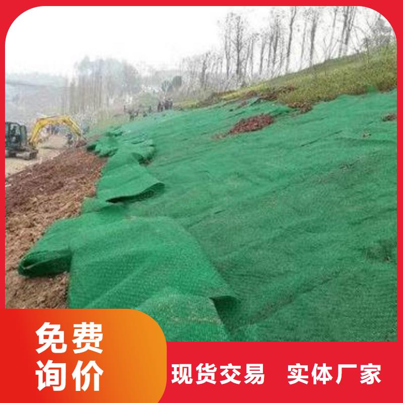 三维植被网无纺布品牌企业
