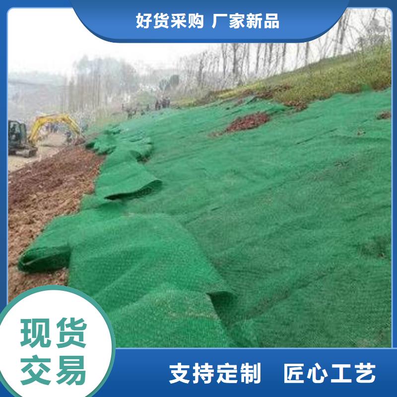 三維植被網(wǎng)土工HDPE膜廠家貨源穩(wěn)定