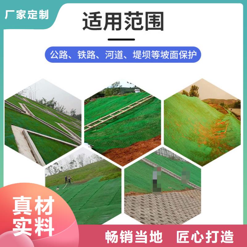 三维植被网无纺布品牌企业