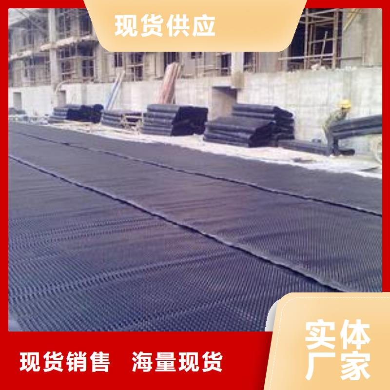 塑料排水板玻纤土工格栅热销产品
