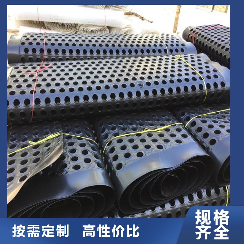 塑料排水板,塑料土工格栅保质保量