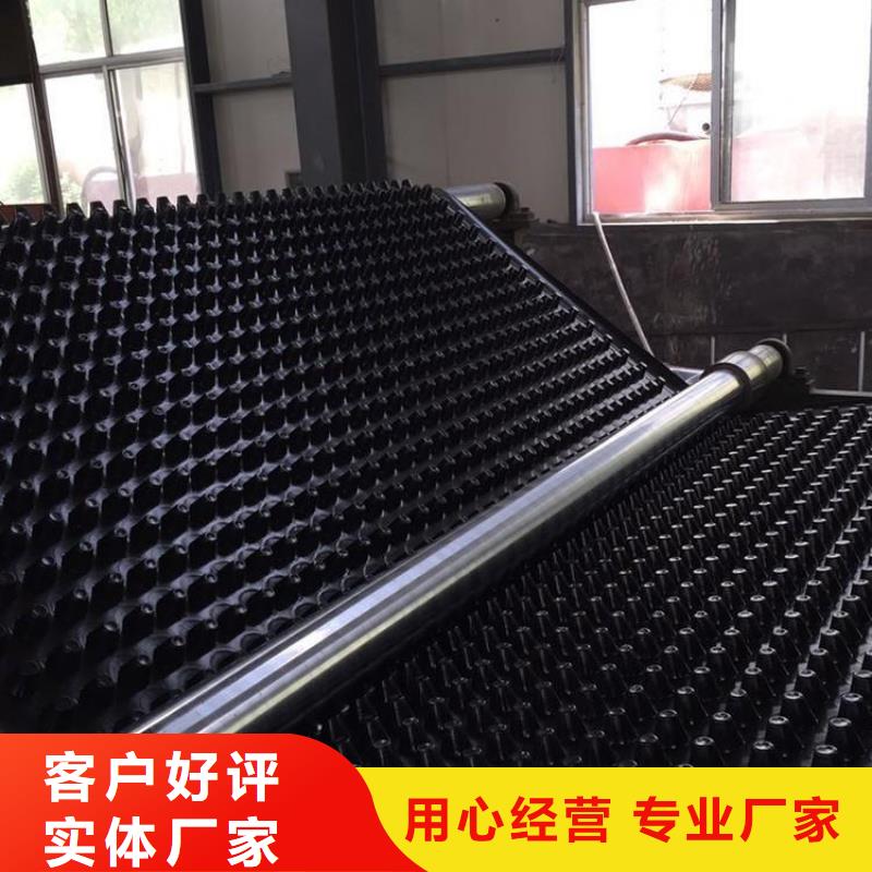 塑料排水板【三維土工網(wǎng)墊】顏色尺寸款式定制
