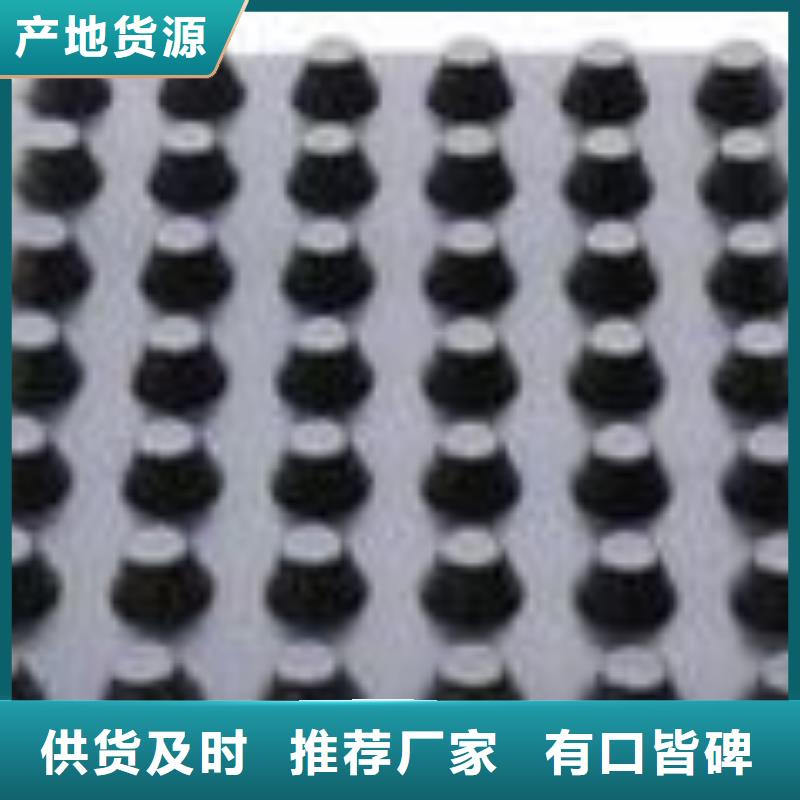 塑料排水板玻纤土工格栅热销产品