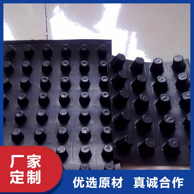 塑料排水板鋼塑土工格柵專業(yè)生產(chǎn)廠家