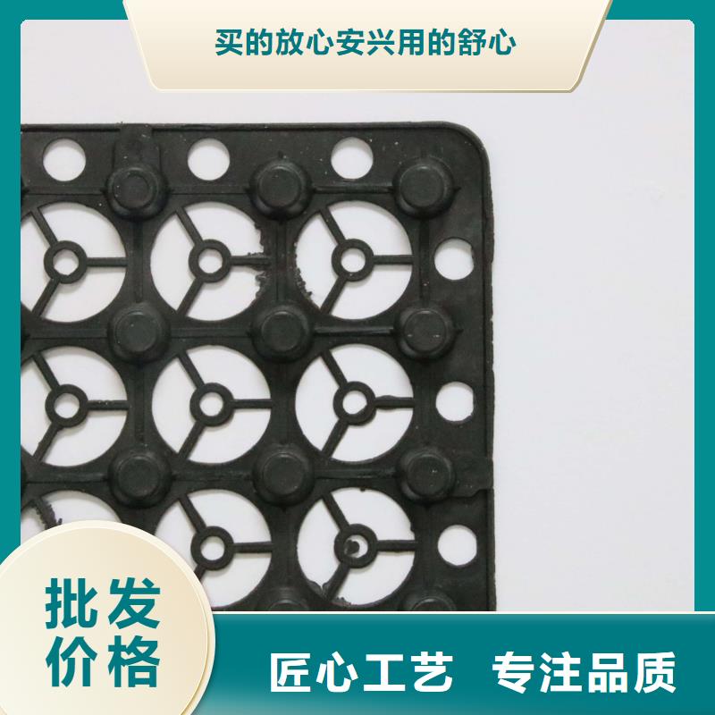 塑料排水板-养护土工布原厂制造