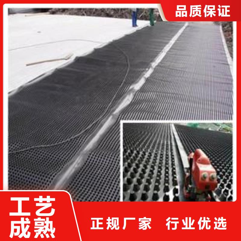 塑料排水板透水土工布常年出售