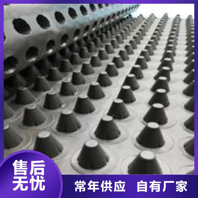 塑料排水板,塑料土工格栅保质保量
