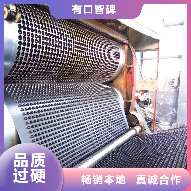 塑料排水板垃圾填埋場材料當?shù)貜S家值得信賴
