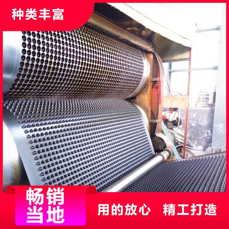 塑料排水板長(zhǎng)絲土工布打造行業(yè)品質(zhì)
