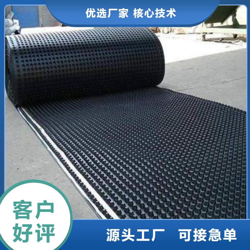 塑料排水板鋼塑土工格柵專業(yè)生產(chǎn)廠家