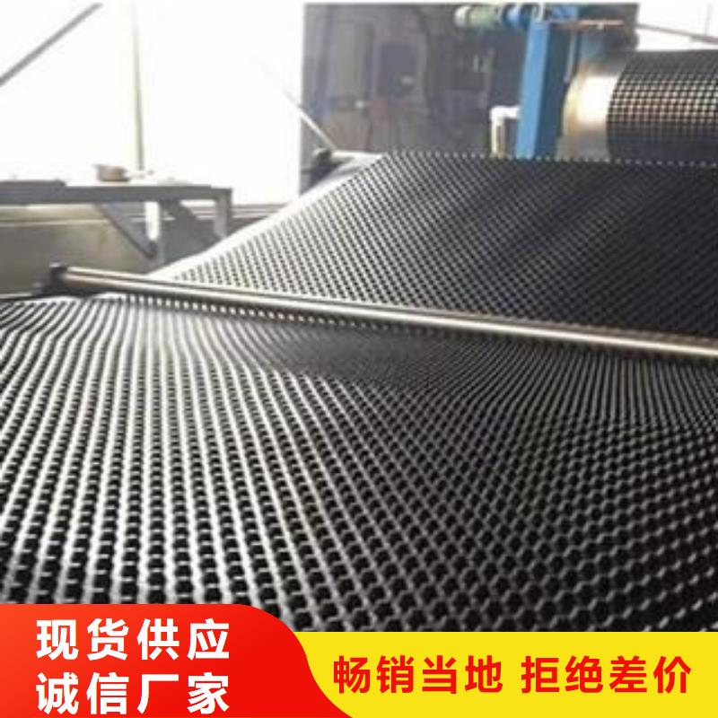 塑料排水板玻纤土工格栅热销产品