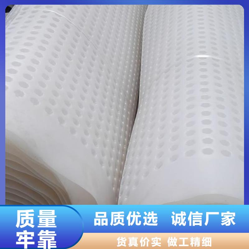 塑料排水板,塑料土工格栅保质保量