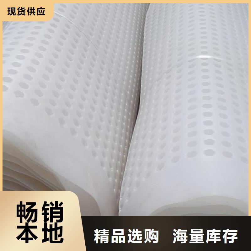 塑料排水板玻纤土工格栅热销产品
