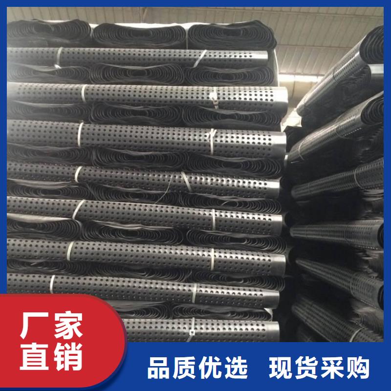 塑料排水板玻纤土工格栅热销产品