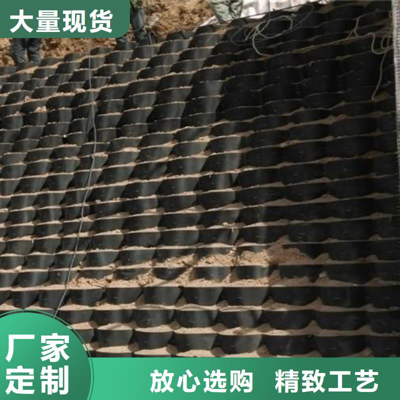 土工格室-塑料土工格柵優(yōu)質(zhì)貨源