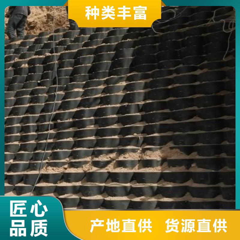 土工格室-塑料土工格栅优质货源