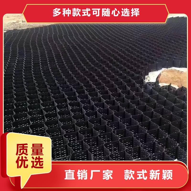 土工格室实力优品
