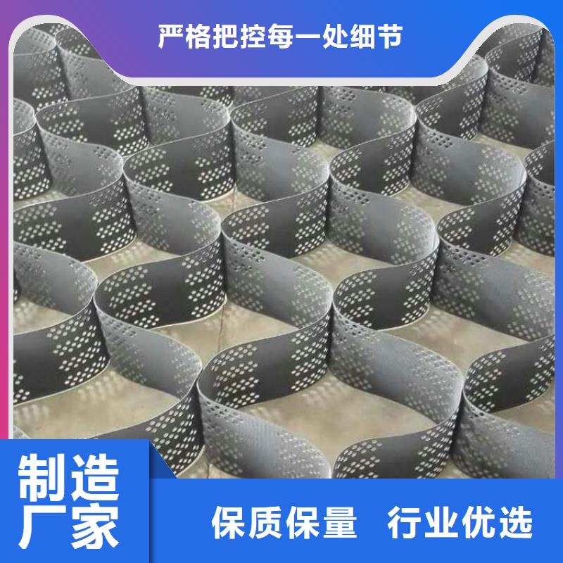 土工格室护坡土工网精心打造